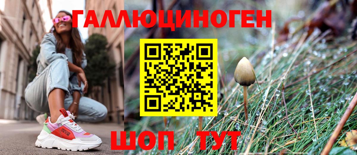 Псилоцибиновые грибы GOLDEN TEACHER  магазин продажи   Лесосибирск  Вход с VPN 